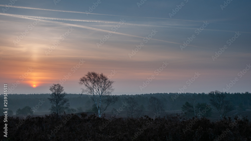Sunrise in the Heathlands