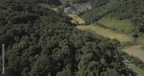 A track shot of trees giving way to fields in Chiang Mai, North Thailand. photo