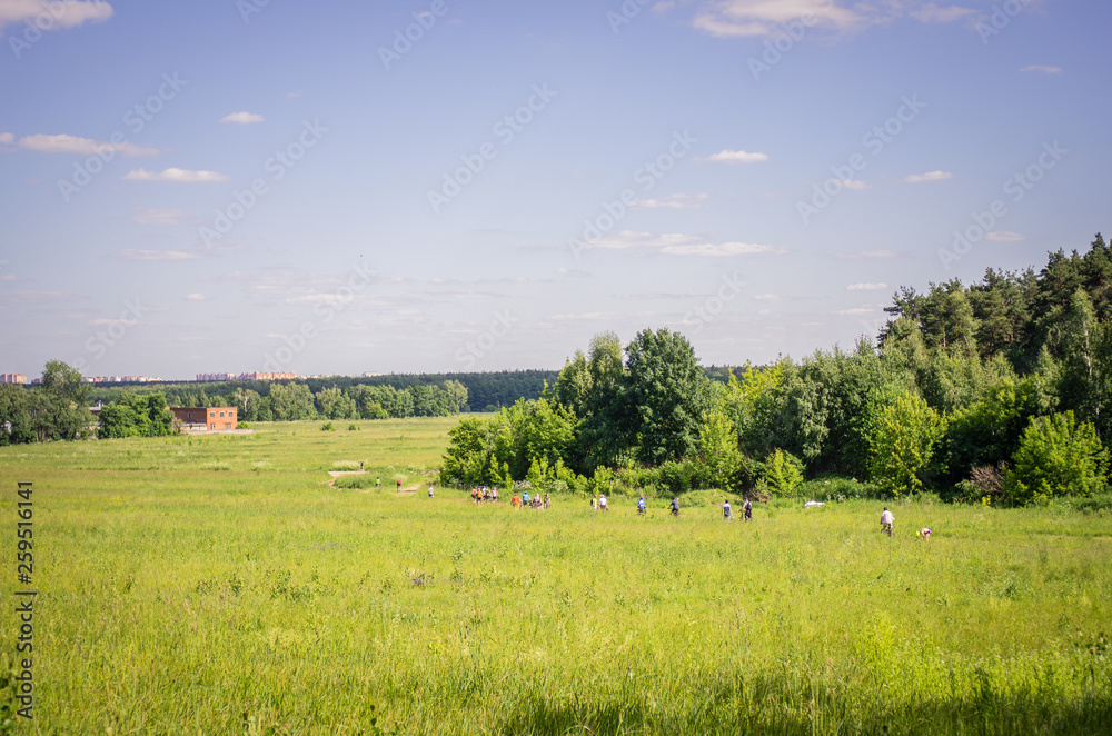 Summer landscape. A group of people tourists are on the road along the forest Summer landscape. A group of people tourists are on the road along the forest