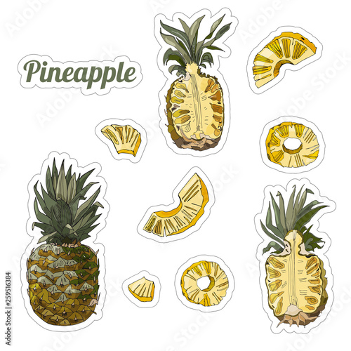 Color set with stickers of pineapple. Whole and sliced elements isolated on white background. Hand drawn fruits sketch.
