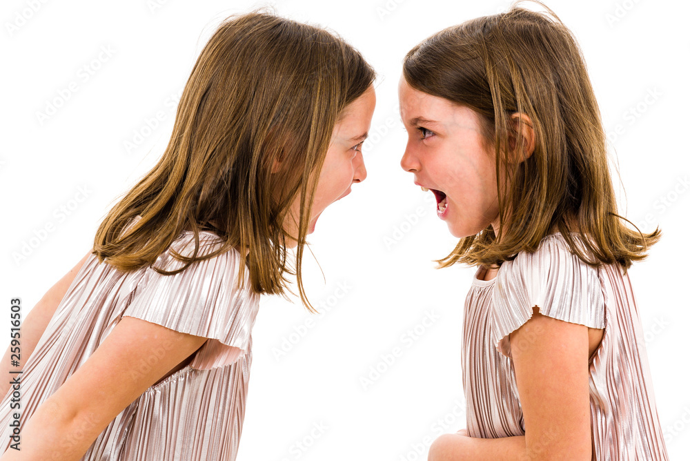 Identical twin girls sisters are arguing yelling at each other. Identical twin girls sisters are arguing yelling at each other.