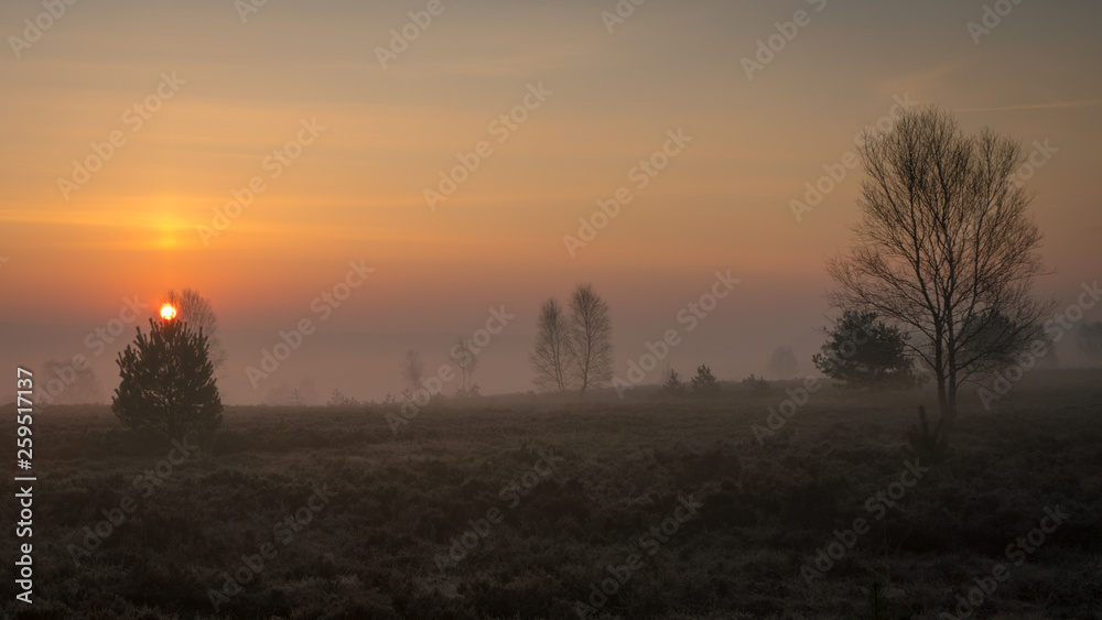 Sunrise in The Heathlands