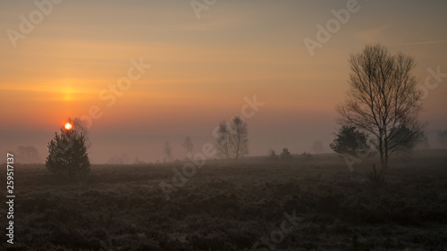 Sunrise in The Heathlands