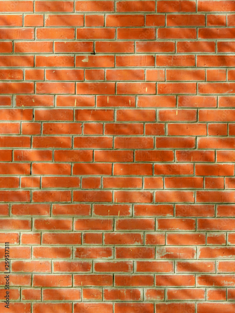 Obraz premium shadow of leaf tree on brick wall background