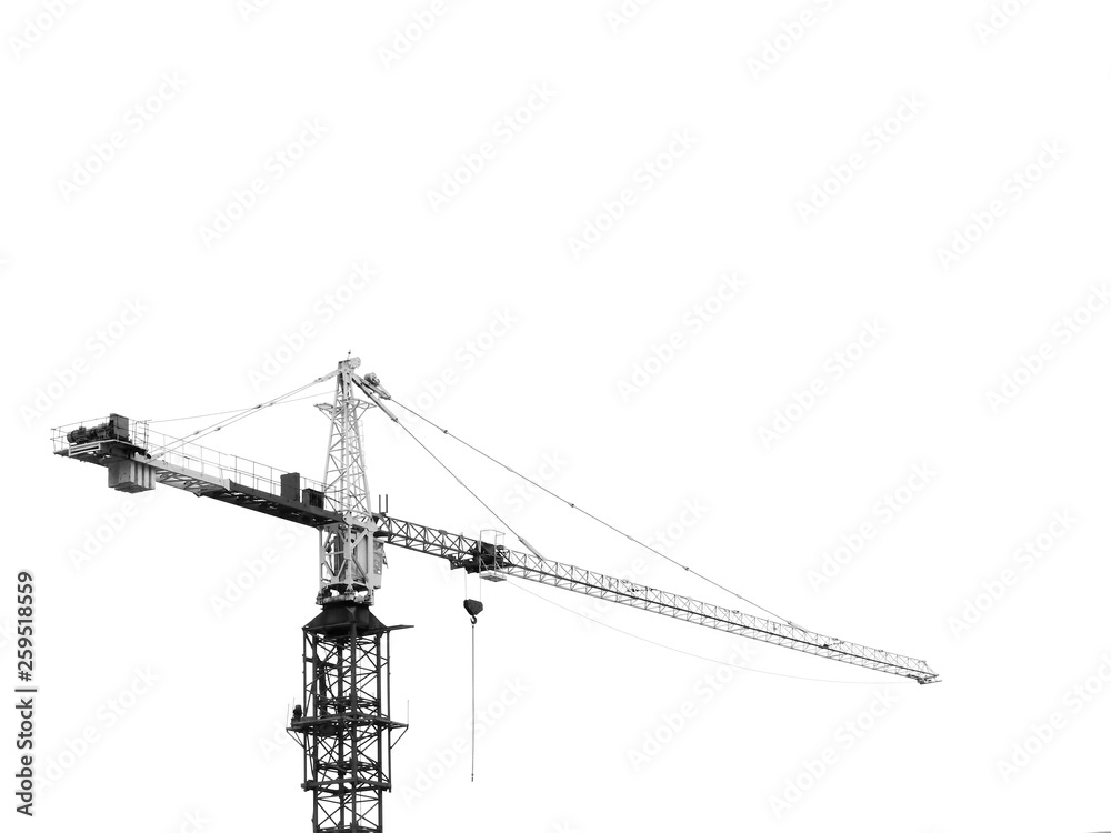 cranes on the construction site of the city