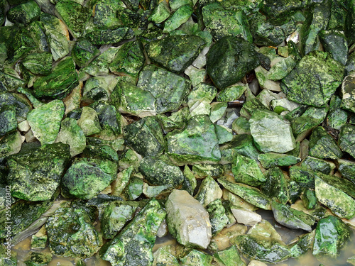 pile of stone with moss in river