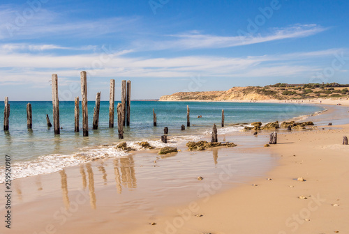 Old wooden pier posts at Port Willunga beach  Adelaid  South Australia