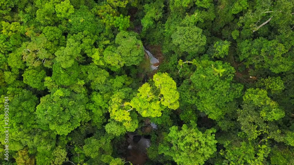 Aerial of flying over a beautiful green forest in a landscape in Thailand Aerial of flying over a beautiful green forest in a landscape in Thailand