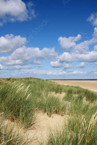 Sand dunes and sea grass against a cloudy blue sky