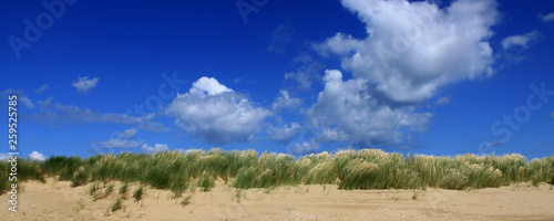 Fototapeta Naklejka Na Ścianę i Meble -  Sand dunes and sea grass against a cloudy blue sky