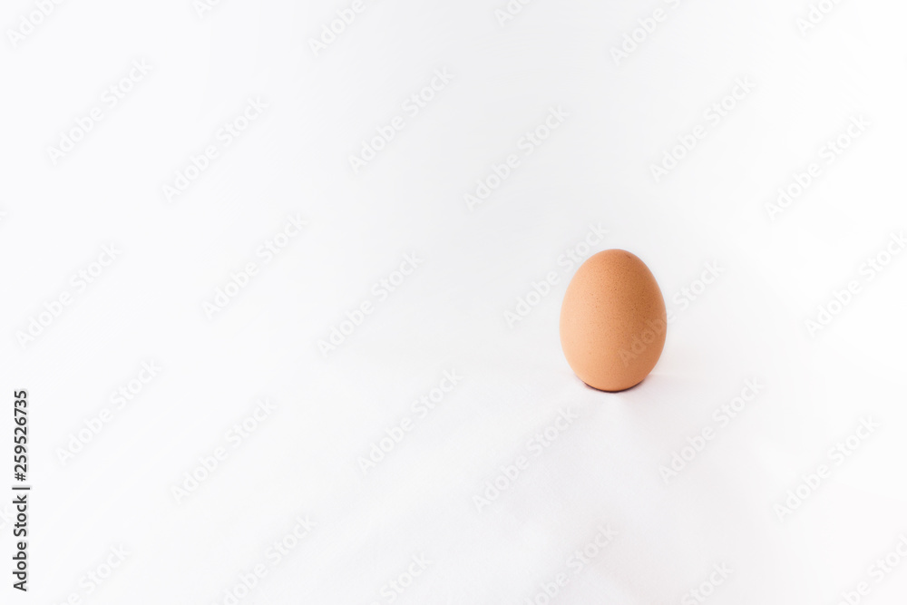 Perfect chicken egg on white cloth background. Perfect chicken egg on white cloth background.