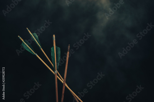 Canvas Print Four wood arrow