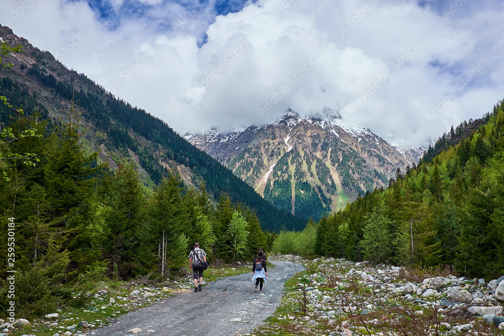 Tourists go on a forest mountain road