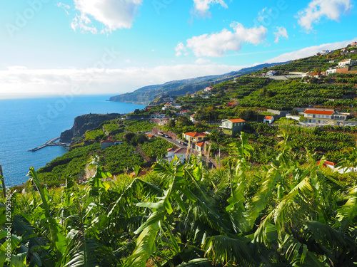 Madeira - Bananenplantagen im Süden