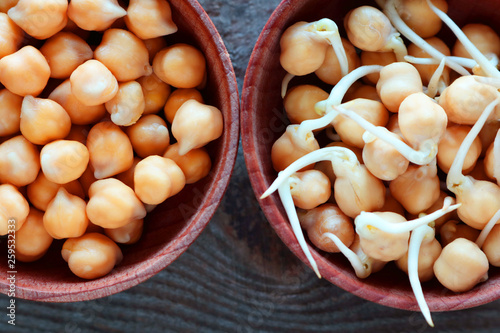 Whole and sprouted chickpea grains lie in plates. For a healthy lifestyle grains are germinated. Selective focus 