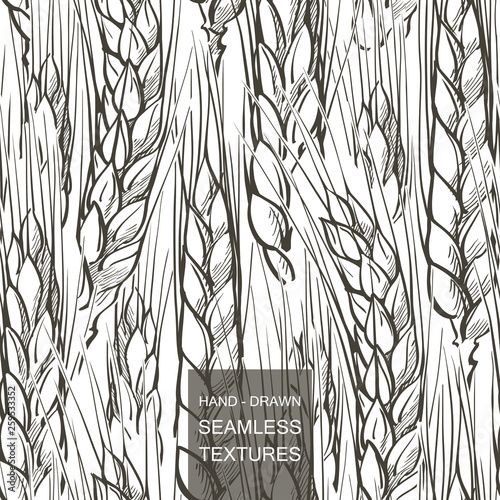 Vector seamless pattern field of wheat. Hand drawn engraving illustration of Countryside