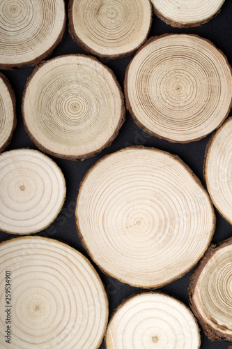 Pine tree cross-sections with annual rings on black background. Lumber piece close-up, top view.