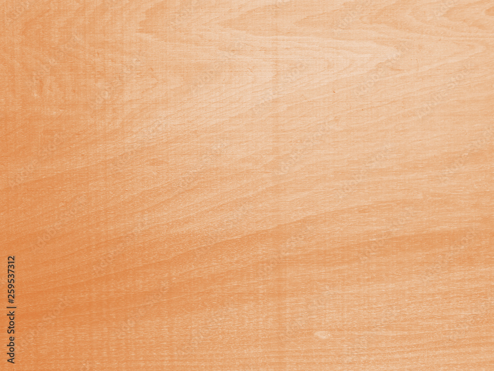 Obraz premium nature wood texture