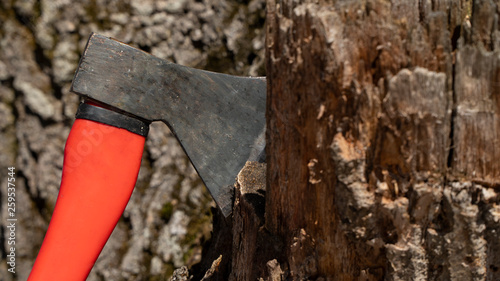 ax with a bright orange handle in the tree for harvesting firewood