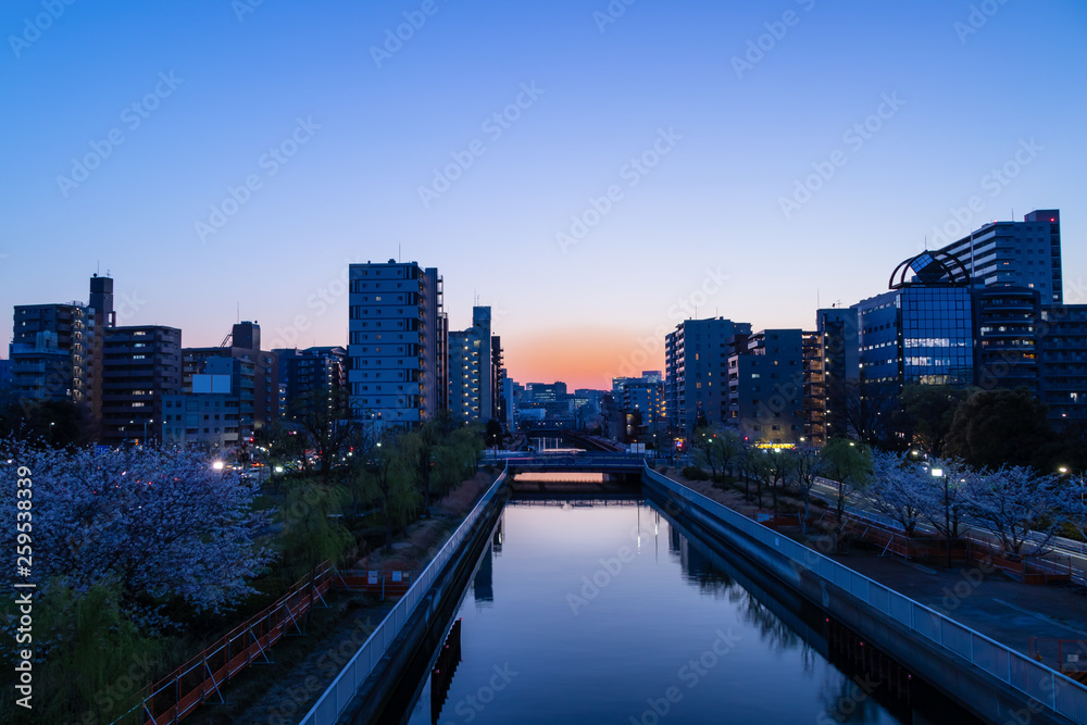 ビルの谷間の夕日