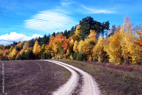 Beautiful landscape with road near autumn forest (loop, purpose, life search, arc - concept)