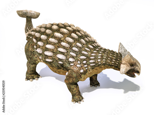Ankylosaurus dinosaur isolated on white background. photo