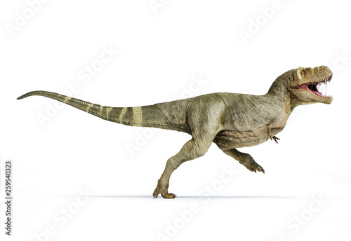 T-rex full body side view. © matis75