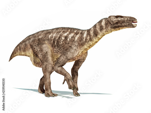 Iguanodon dinosaur isolated on white background.