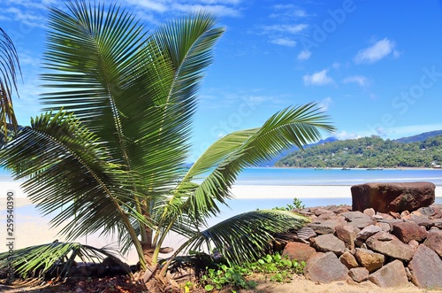 Beautiful white beaches on the paradise islands Seychelles fotographed on a sunny day photo