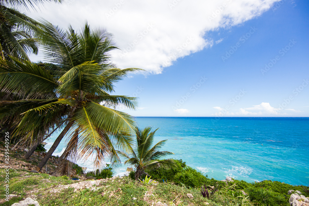 View from the cliff on the Caribbean Sea. Palm trees and blue sky. Barona Dominican Republic
