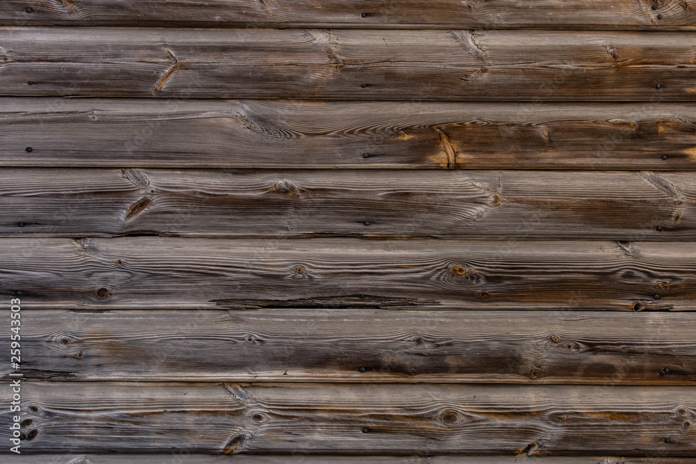 Fototapeta premium wooden fence texture