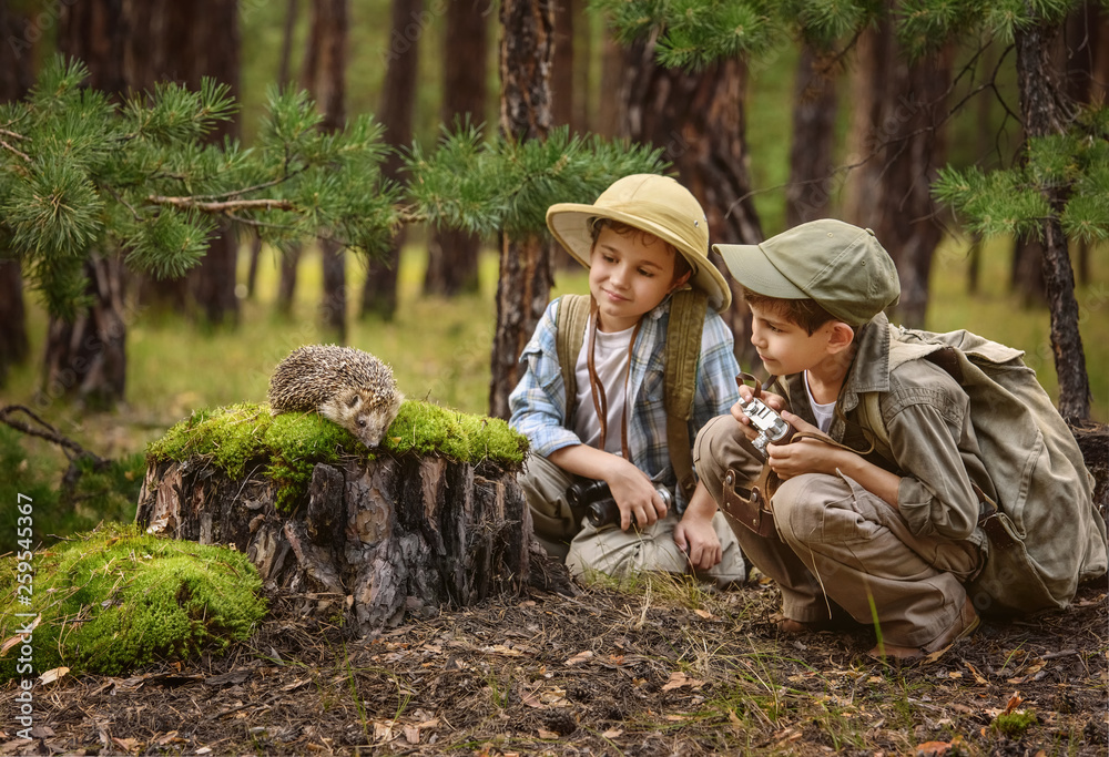 Meeting children and the hedgehog in the forest
