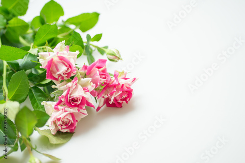 薔薇の花束 © 歌うカメラマン