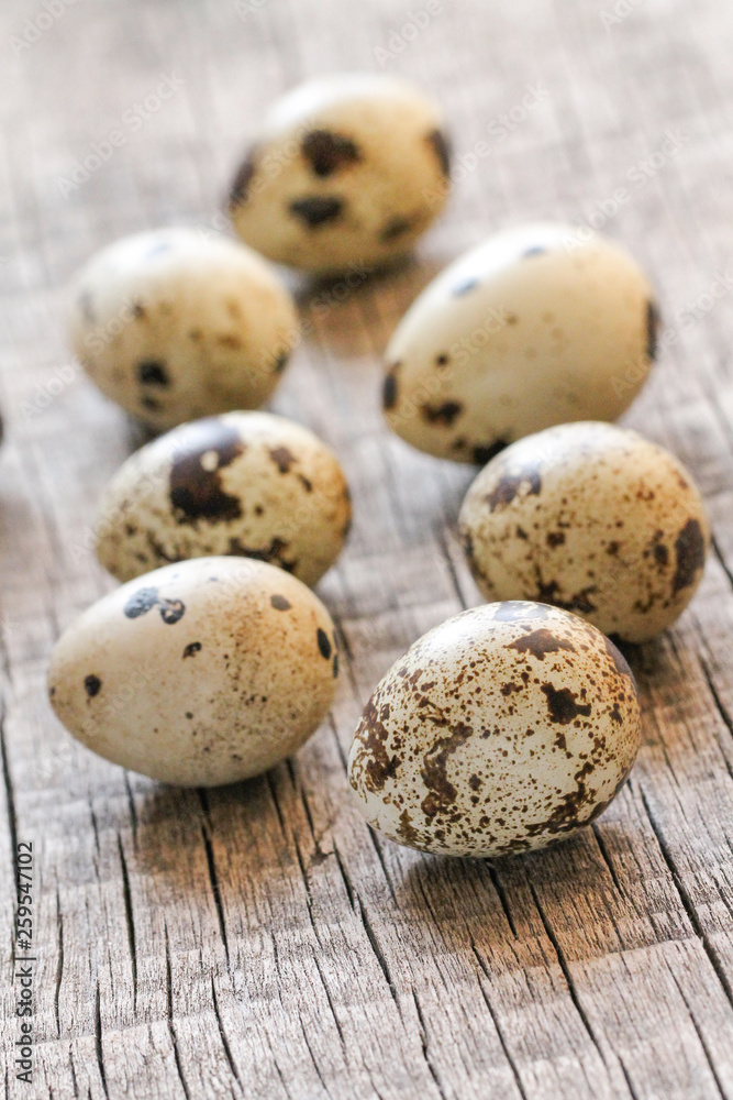 The spotted quail eggs on a wooden surface. The spotted quail eggs on a wooden surface.