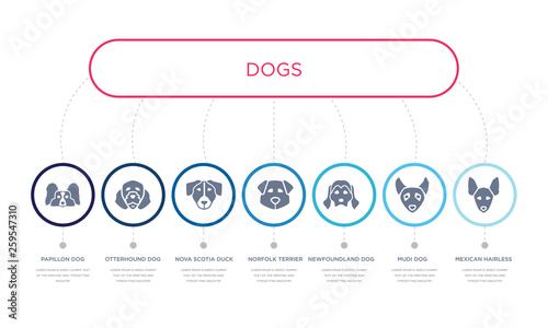 simple illustration set of 7 vector blue icons such as mexican hairless dog dog, mudi dog, newfoundland _icon4, nova scotia duck tolling retriever otterhound papillon infographic design with 7 icons