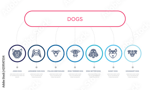 simple illustration set of 7 vector blue icons such as hovawart dog, husky dog, irish setter dog, _icon4, italian greyhound japanese chin jindo infographic design with 7 icons pack
