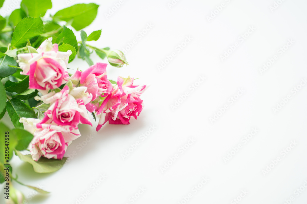 薔薇の花束 薔薇の花束