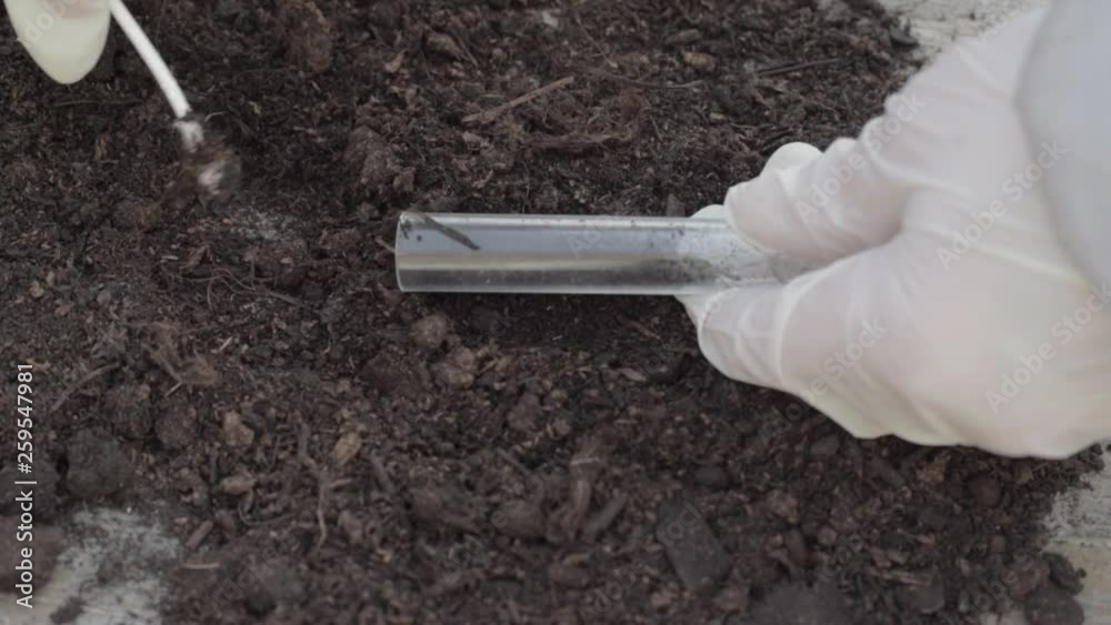 Using a test tube to collect soil sample
