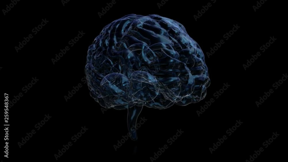 3d animation graphic design of brain. alpha glass background. Brain showing and spinning with mri scan in creativity model and health concept 3d animation graphic design of brain. alpha glass background. Brain showing and spinning with mri scan in creativity model and health concept