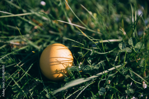 Close up of a colorful Easter eggs on a green grass.