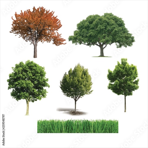 Set of vector trees