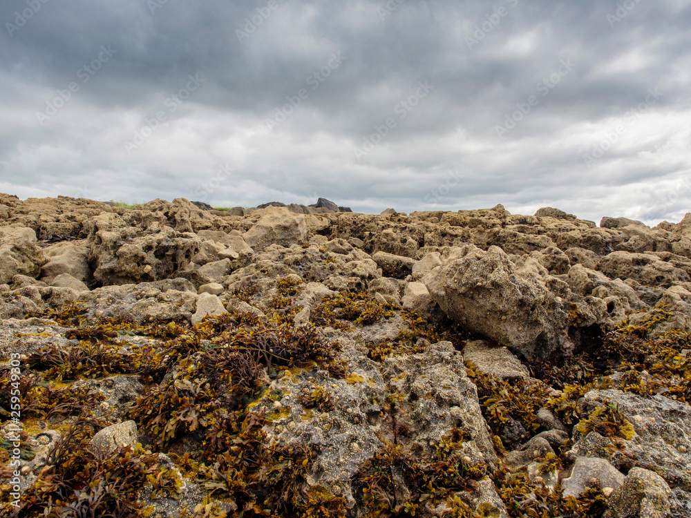 Rock formations in county Clare, Ireland. rocks covered with see weed. Moody sky. Rock formations in county Clare, Ireland. rocks covered with see weed. Moody sky.