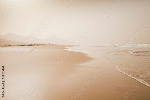 Fototapeta Naklejka Na Ścianę i Meble -  Beach landscape -  Cofete, Fuerteventura, Canary Islands. Perfect place for the coast lovers. Tourist holiday destination, background, copy space.