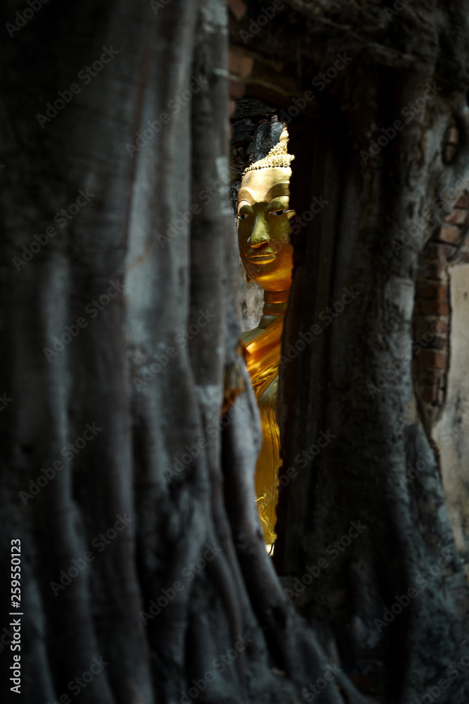 gold buddha tree