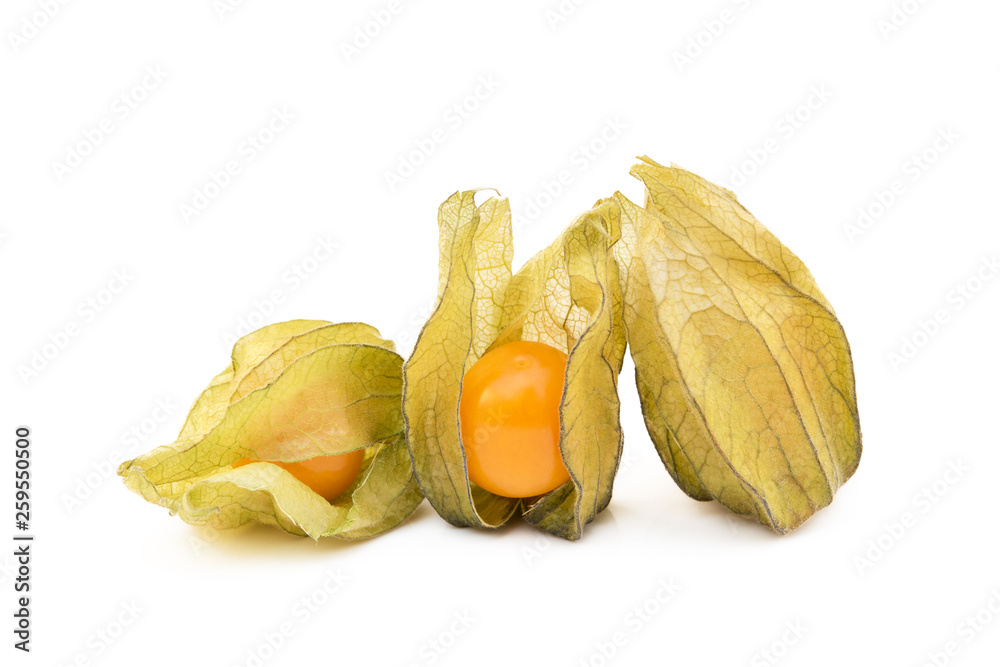 Healthy Cape Gooseberry (Physalis) isolated on white background Healthy Cape Gooseberry (Physalis) isolated on white background