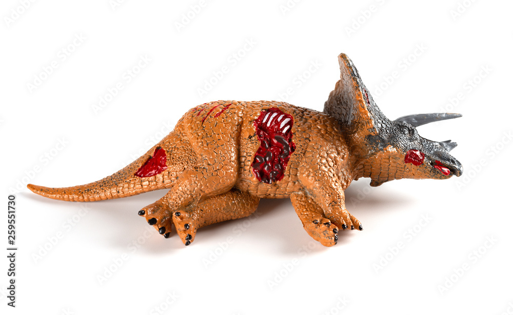 Fototapeta premium Triceratops dead body on a white background