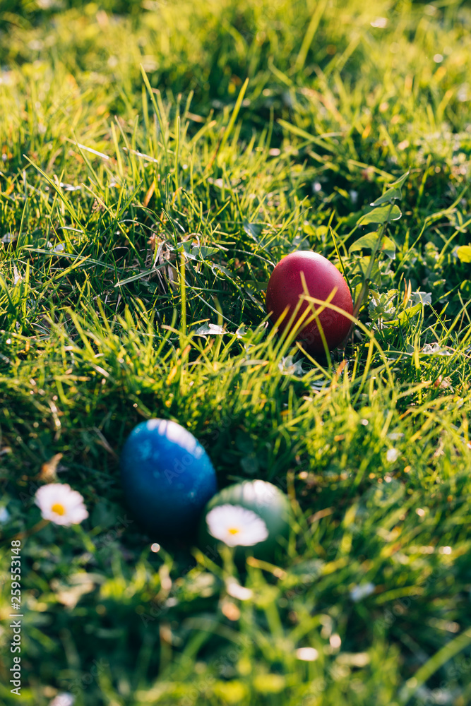 Fototapeta premium Colorful Easter eggs in the nature.