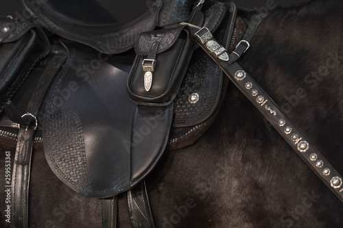 Close up of a harness of a black stallion. The saddle, saddle bags and reins are trimmed by metal tips, an ornament and buttons