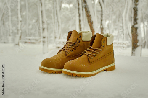 Boot in the snow