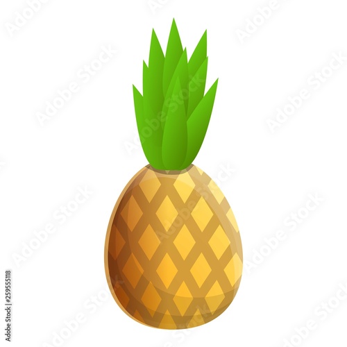 Tasty pineapple icon. Cartoon of tasty pineapple vector icon for web design isolated on white background
